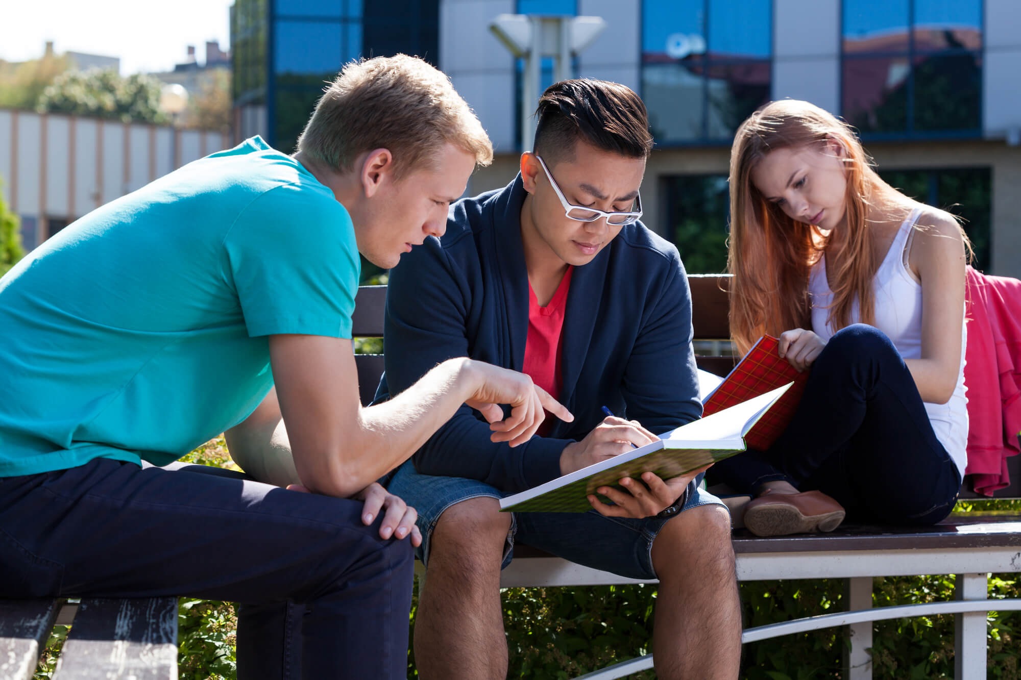 students sitting on bench studying students sitting on bench studying