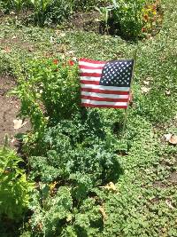 American flag planted in grass